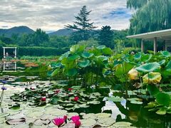 -国家植物园南园