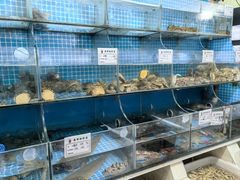 -宾朋海鲜饭庄(兴海路店)