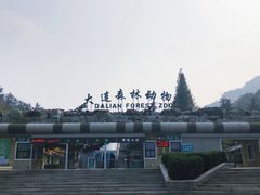 -大连森林动物园