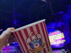 -广州长隆国际大马戏