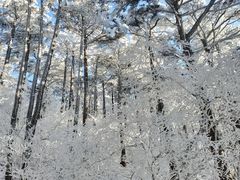 -黄山屯溪国际机场