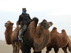 -沙漠世界地质公园