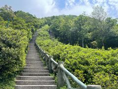 -梧桐山风景名胜区