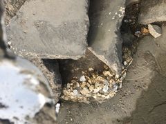 -东疆建设开发纪念公园