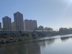-前关湿地公园