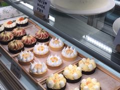 -猫里有甜