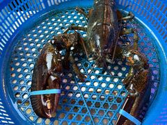 -渔民船说·北塘海鲜·天津菜·海肠捞饭(北塘古镇店)
