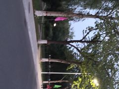-东北大学(秦皇岛分校)