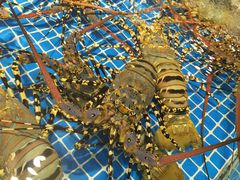 -三亚火车头万人海鲜广场