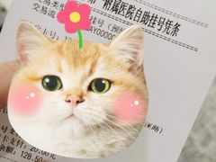 -安徽医科大学第一附属医院(绩溪路院区)