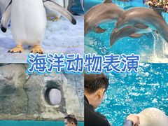 -威海华夏城景区