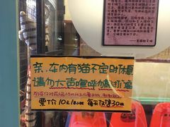 -猫咪博物馆(顶澳仔猫街店)