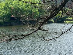 -庐山风景区花径公园