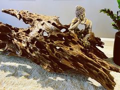 -野象谷景区