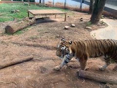 -昆明动物园
