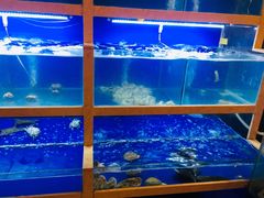 -碳说品道.瓦片烤肉.海鲜烧烤(中华路店)