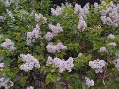 -大兴区体育中心游泳馆