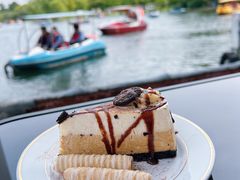 -上海共青森林公园