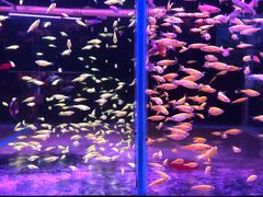 -三旗百汇商品城