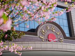 -小荧星艺校(浦东中环分校)