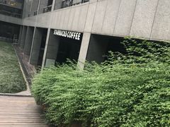 -星巴克(杭州市民中心店)