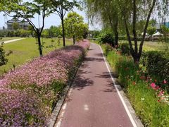 -菊园百果园