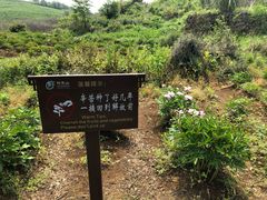 -许家山
