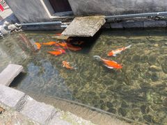 -前童古镇