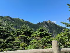 -牛背梁国家森林公园