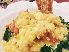 澳洲龙虾-都市阳光海鲜城(青山湖店)