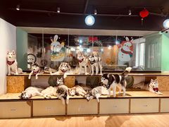 -Husky Go! 哈士奇体验馆·宠物咖啡厅狗咖