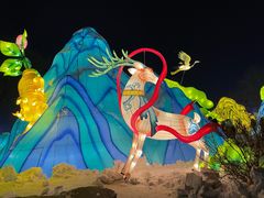 -长春市南湖公园