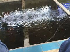 -小象钓虾·营地烧烤(洛溪店)