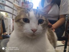 -万小咖.猫咖(中山路天虹店)