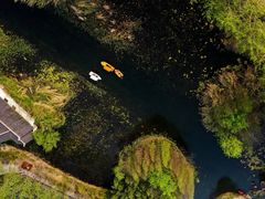 -溱湖国家湿地公园