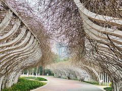 -眉山湿地公园(东坡区)