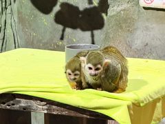 -泉城欧乐堡海洋极地世界
