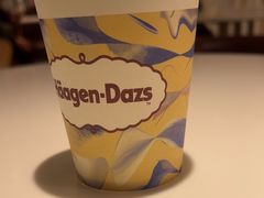 -哈根达斯(武汉天地店)