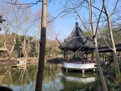 -上海醉白池公园