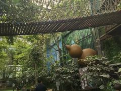 -呀路古热带植物园