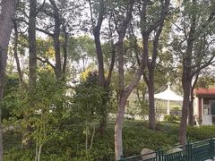 -新江湾城公园