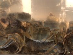 -小乡小镇·传承桐庐土菜·老板亲自烧的菜