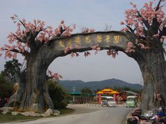 天适樱花悠乐园-天适樱花悠乐园