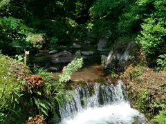 -ステーキハウス吉池