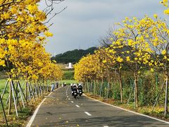 -光明小镇欢乐田园