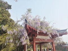 -洛阳市隋唐城遗址植物园