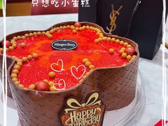 -哈根达斯(深圳海岸城店)