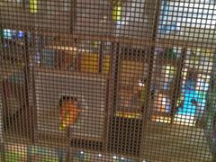 -蒙特利亲子乐园