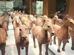 -汉景帝阳陵博物院