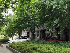 -大华梧桐墅大公馆